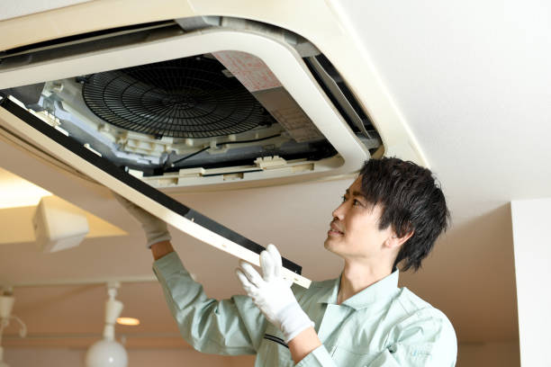 Air Duct Mold Removal in Saddlebrooke, AZ